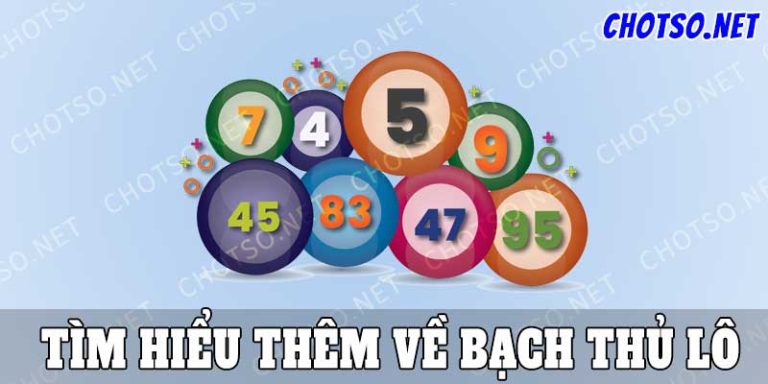Bạch Thủ Lô Hôm Nay Chuẩn Xác