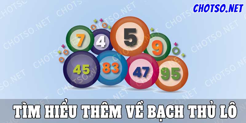 Tìm hiểu về bạch thủ lô